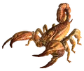 Bark scorpion FNV