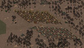Farrels garden.png