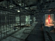 Y-17 med center cells.jpg (67 KB) Le celle