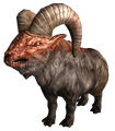 Bighorn.png