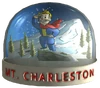 SnowglobeMtCharleston