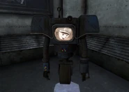 Muggy.jpg (635 KB) Muggy