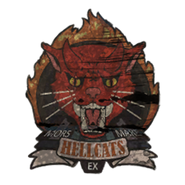 Hellcats Company logo