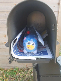 Peepy (Celebrity Blue) | ItemLabel Wiki | Fandom