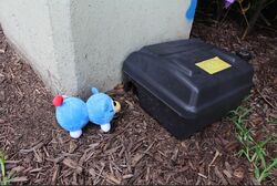 Peepy (Celebrity Blue) | ItemLabel Wiki | Fandom