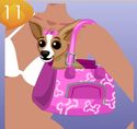 Hotness 11 - Lost Puppy in Purse (Was available in late 2010 for free. Could be received if you accepted a "Adopt a Lost Puppy" request shared by other players. You could also share, but if you shared one, you could not adopt it: only other players could.) A White Variation should also exist.