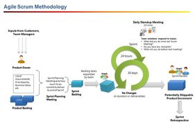 特撮 Scrum in Action: Agile Software Project Management and Development Scrum in Action: Pham, Andrew, Pham, Phuong-Van