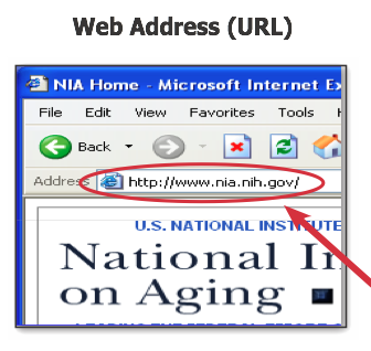 Web address is. Web адрес что это. Адрес веб сайта. Как выглядит веб адрес. Ведадрес это.