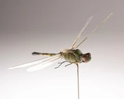 Museum insectovothopter dragonfly operational 007