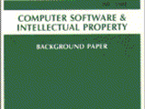 Computer Software and Intellectual Property