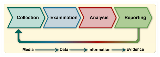 Forensic