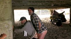 Always sunny in philadelphia jersey cheap shore