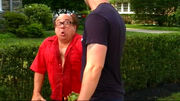 Sunny devito 04.jpg