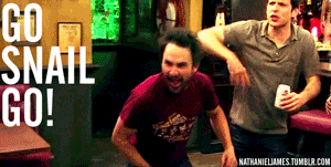 The Gang Gives Frank An Intervention It S Always Sunny In Philadelphia Wiki Fandom The Gang Gives Frank An Intervention It S Always Sunny In Philadelphia Wiki Fandom