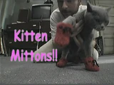 Kitten Mittens
