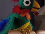 Potty the Parrot/quotes