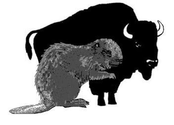 352px-18. Giant Beaver to scale with Bison.jpg