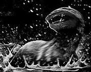 220px-Dobhar-chu encounter.jpg