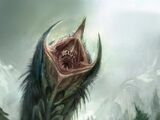 Wurm