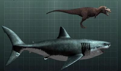 400px-Megalodon-shark.jpg