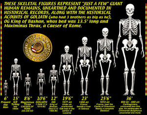 GIANT-SKELETONS-CHART.jpg