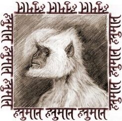 The Monkey Man of New Delhi - India - 1