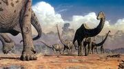 Sauropods