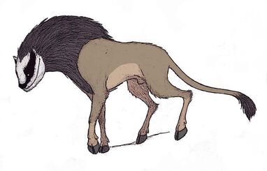 Image572.jpg
