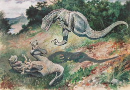 Raptors.png