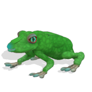 180px-Frog