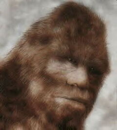 Sasquatch.jpg