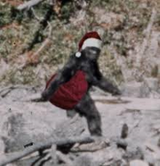 Bigfoot santaa