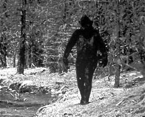 Bigfoot.jpg
