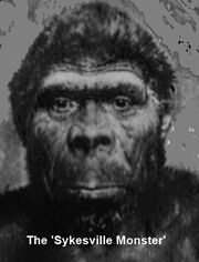 Sasquatch-sykesville2.jpg