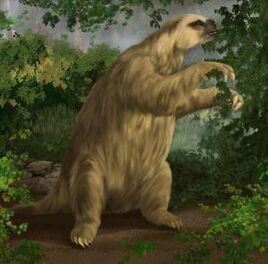 Mbossloth.jpg
