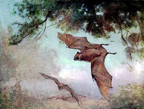 Deathbird