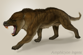 Bear dog.png