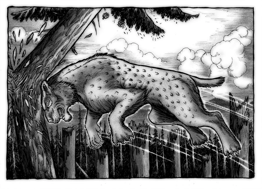 Splinter Cat It's Something Wiki Fandom