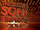 British Soap Awards