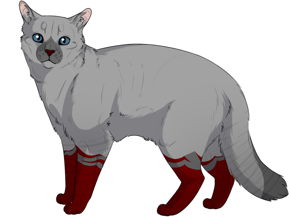 Коты воители мейкер. Wild игра коты воители. Приложение воители. Коты воители метеор и вербовейная. Коты воители ветер перемен комикс.