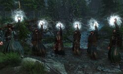 Tw3 Skellige druids