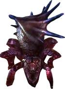 Arachas in The Witcher 2