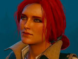 Relazioni (The Witcher 3)