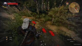 The-Witcher-3-Diary-Witcher-Contracts-Are-Quite-Fun-482236-2.jpg