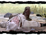 Storia di The Witcher