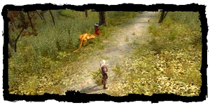 Geralt, il Gerofante e una viverna addomesticata