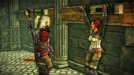 Dove triss merigold.jpg