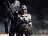 The Witcher 3: Wild Hunt