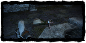 Geralt discovers Ilsa's body