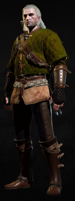 Tw3 armor skellige gambeson